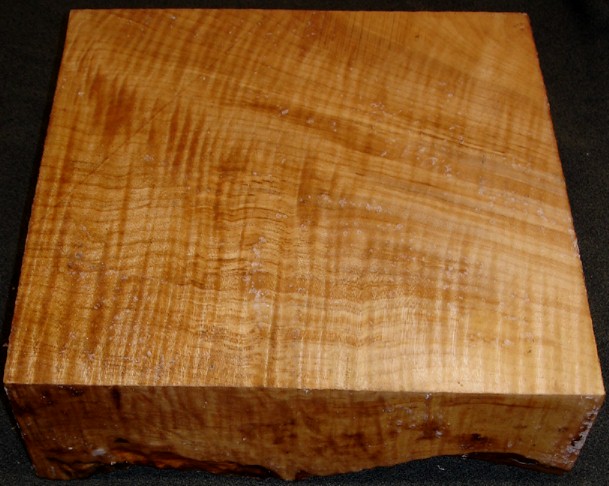 Curly Maple